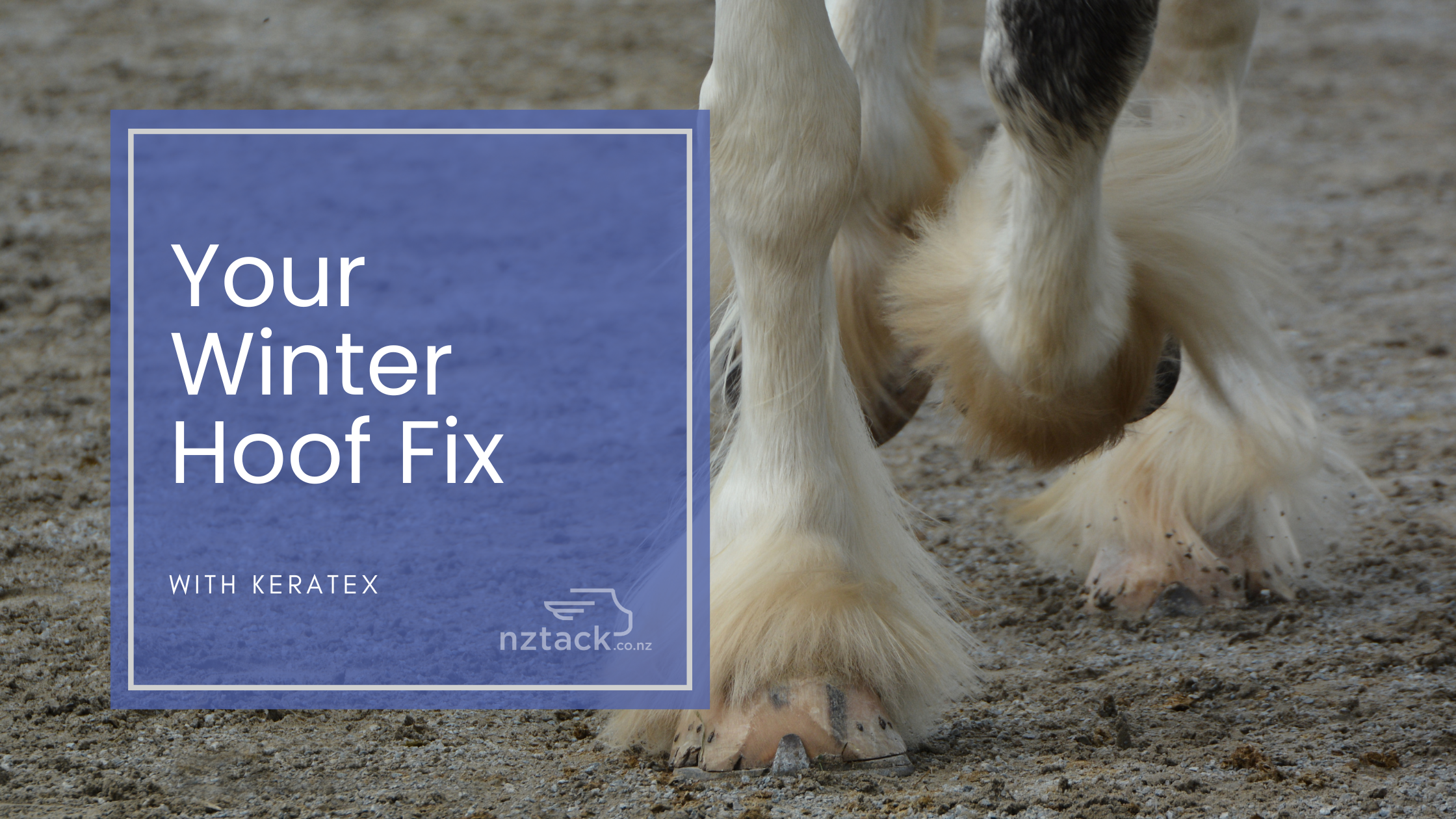 Your Winter Hoof Fix with Keratex