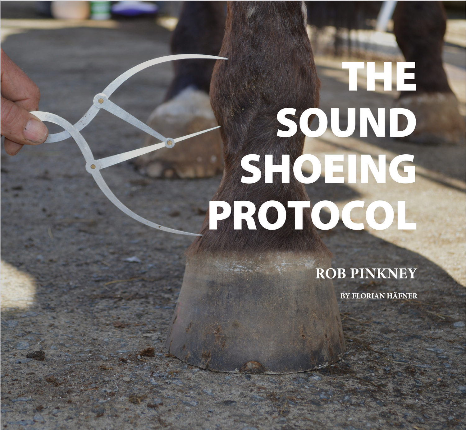 The Sound Shoeing Protocol - Rob Pinkney by Florian Hafner
