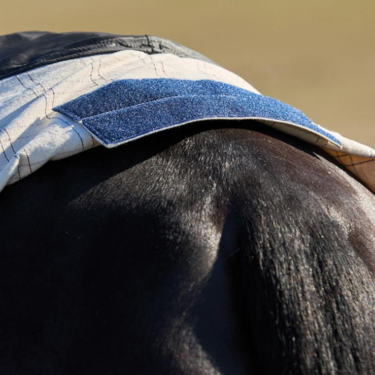 Weatherbeeta Cotton Summer Sheet