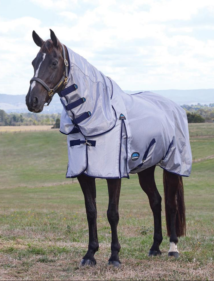 Weatherbeeta ComFiTec Hexi Shield Combo