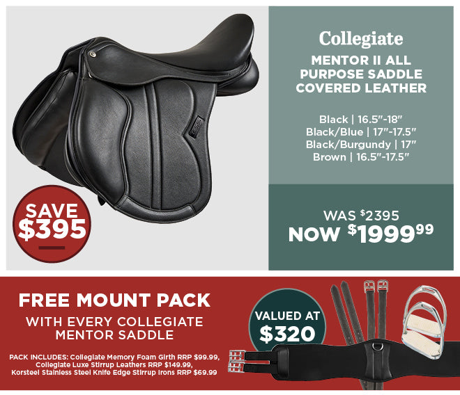 Collegiate Mentor II All Purpose Saddle Covered Leather + FREE MOUNT PACK