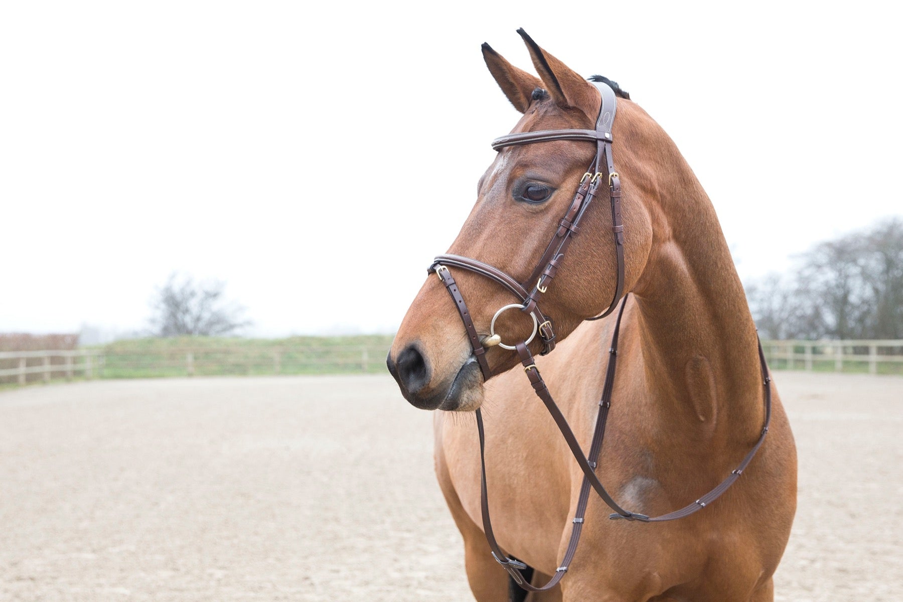 Horze Constance Bridle