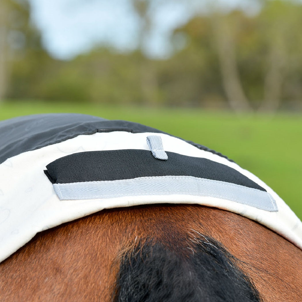 Weatherbeeta Summer Sheet Cotton Combo - Umbrella Print