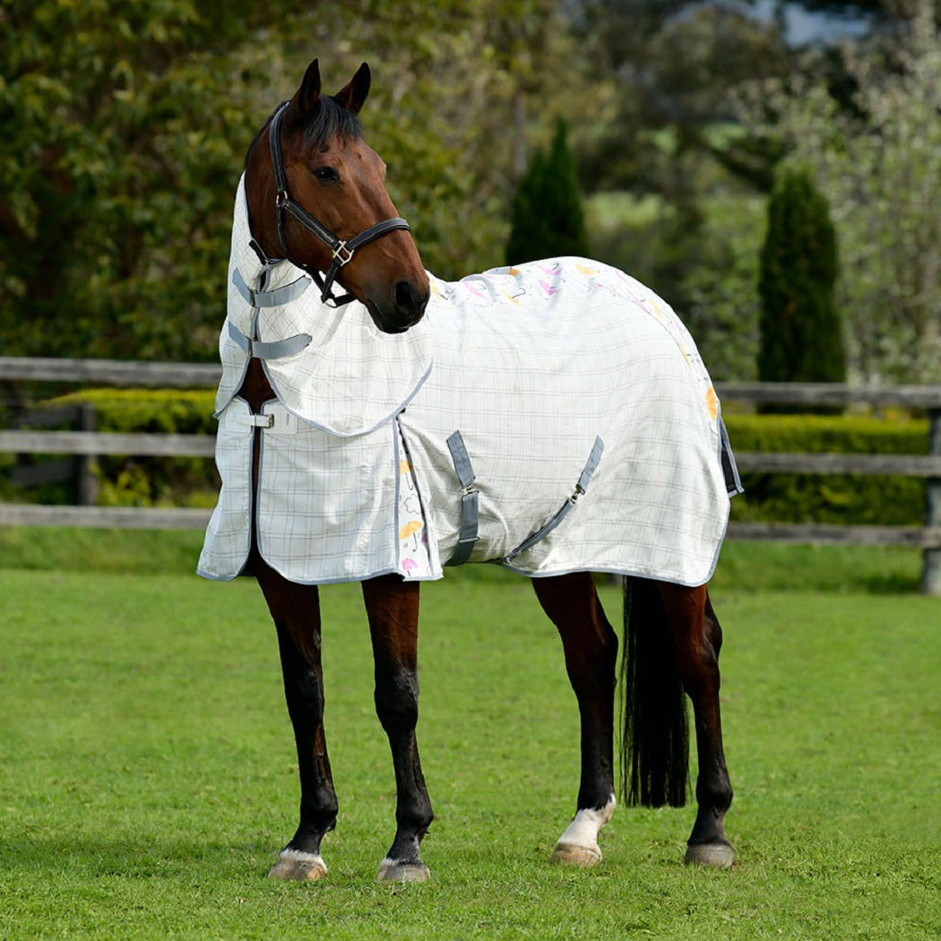 Weatherbeeta Summer Sheet Cotton Combo - Umbrella Print