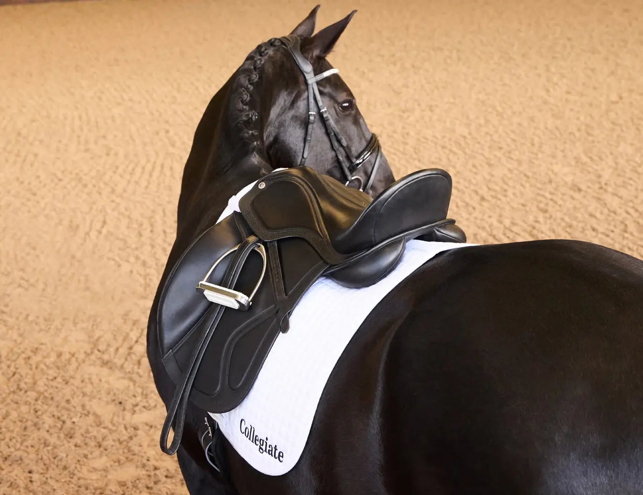 Collegiate Acclaim Dressage Saddle