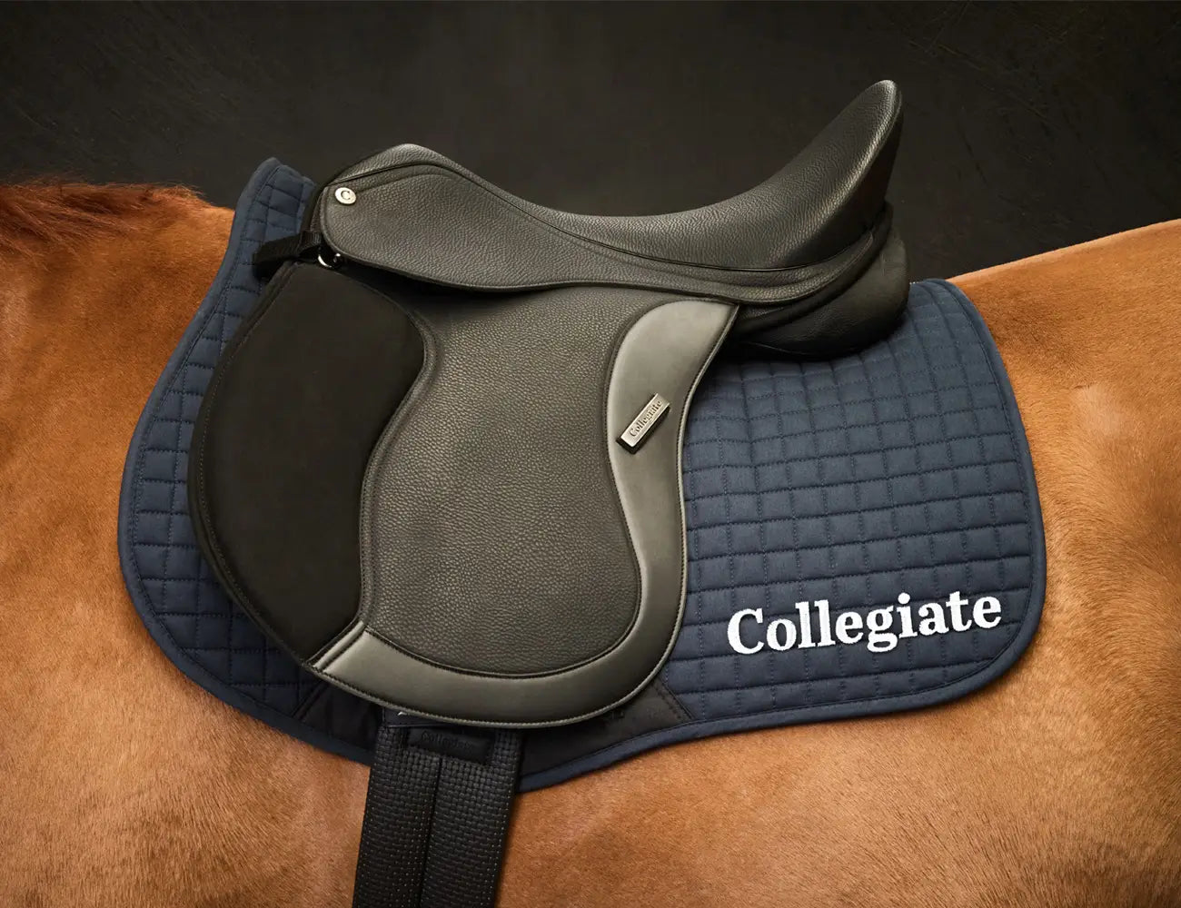 Collegiate Syntovia+ Osberton All Purpose Saddle + FREE MOUNT KIT