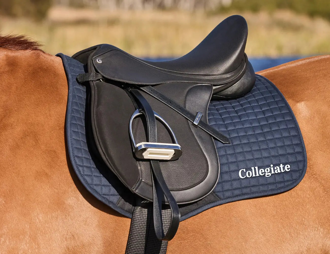 Collegiate Syntovia+ Osberton All Purpose Saddle + FREE MOUNT KIT