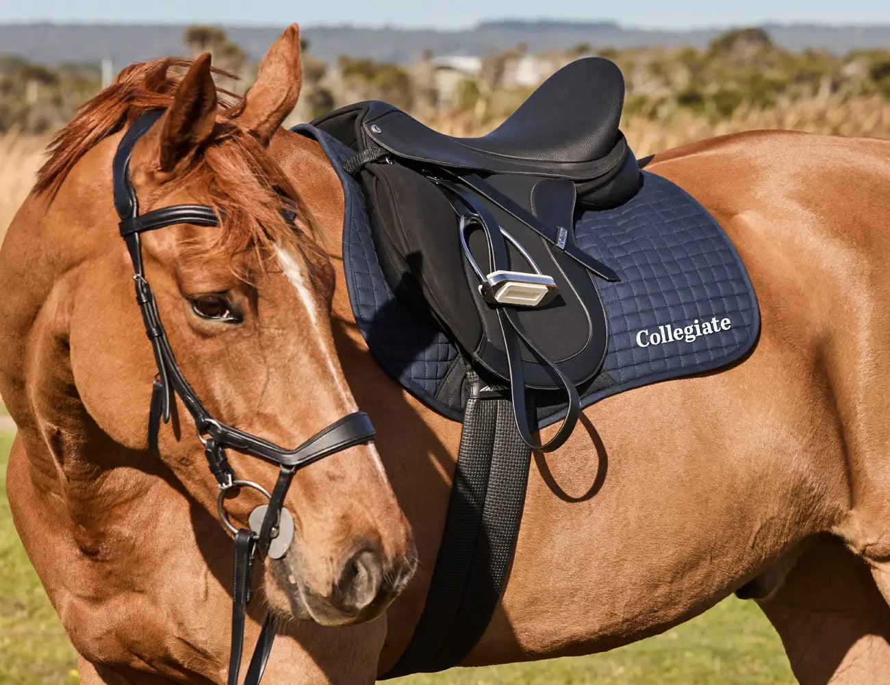 Collegiate Syntovia+ Osberton All Purpose Saddle + FREE MOUNT KIT