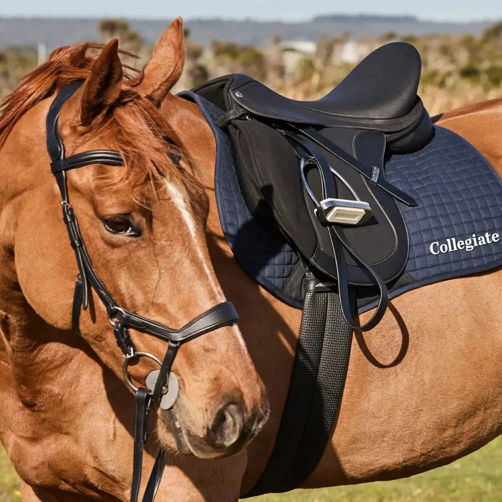 Collegiate Syntovia+ Osberton All Purpose Saddle