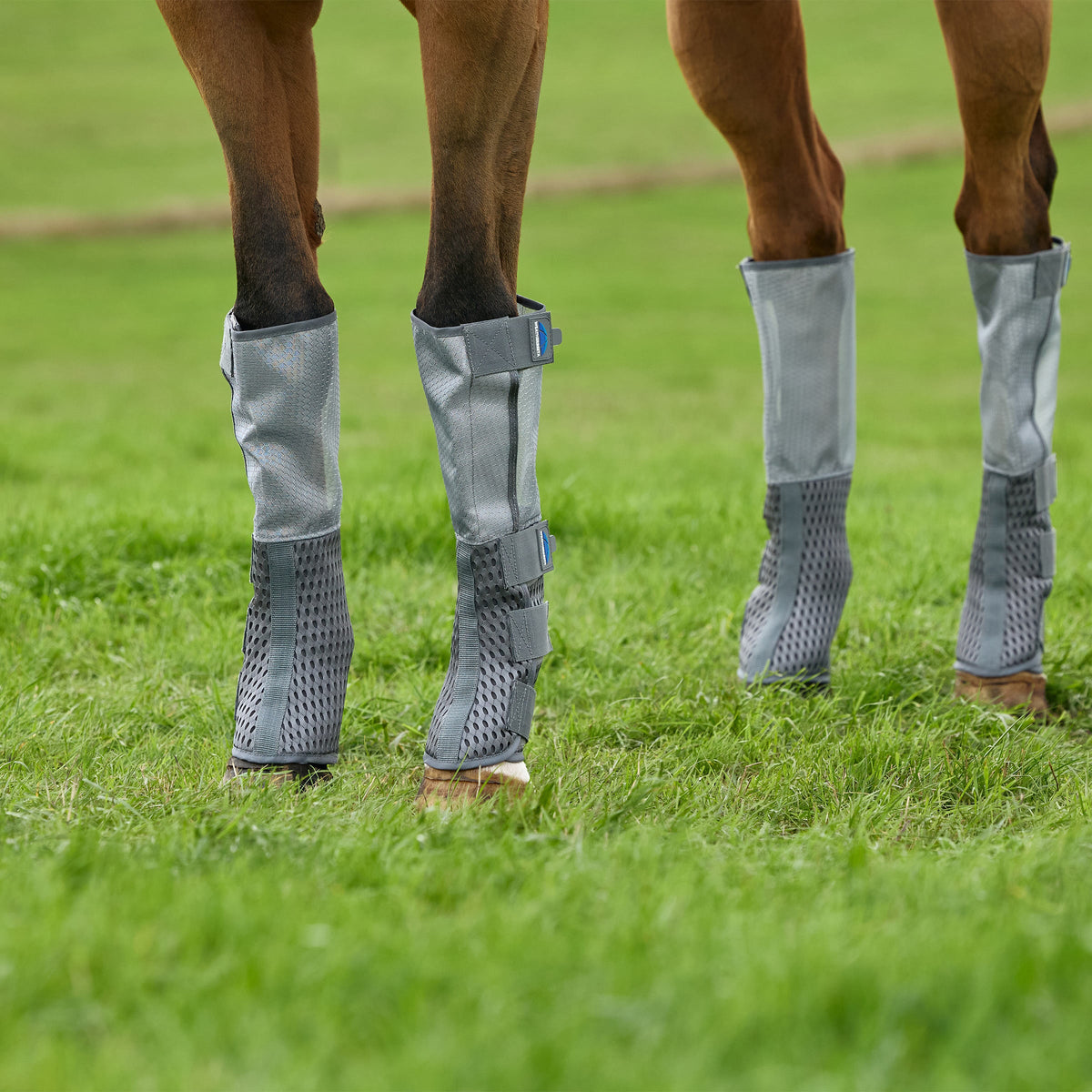 Hexi Shield Fly Wraps in use
