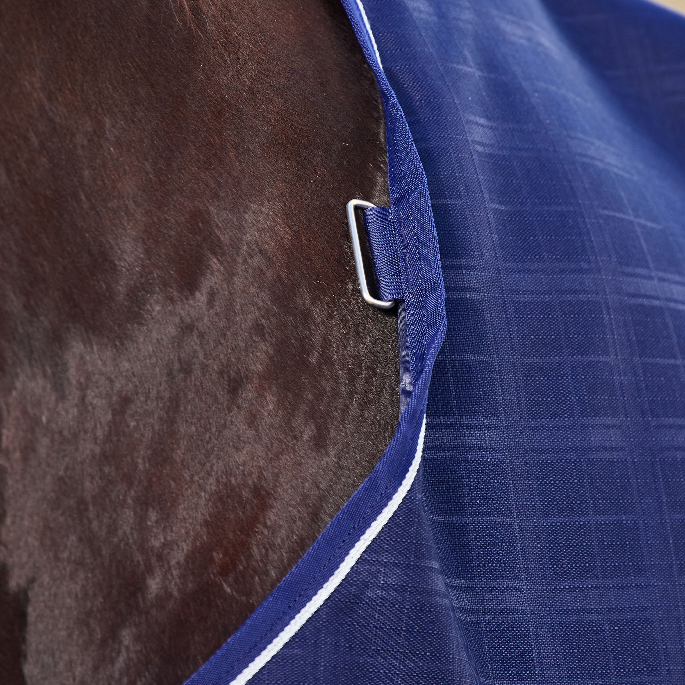 Weatherbeeta Comfitec Prelim Turnout Standard Neck Rug