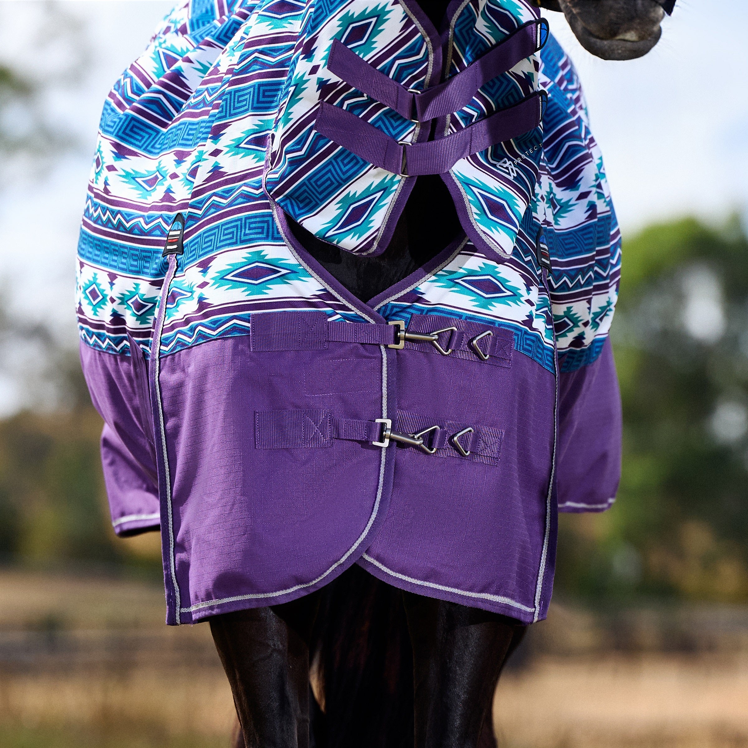 Weatherbeeta Comfitec Essential Turnout Combo