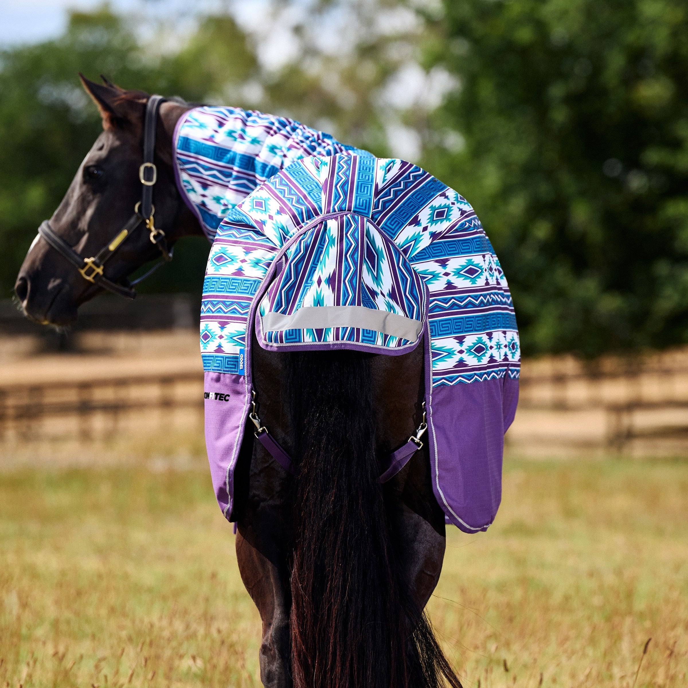 Weatherbeeta Comfitec Essential Turnout Combo