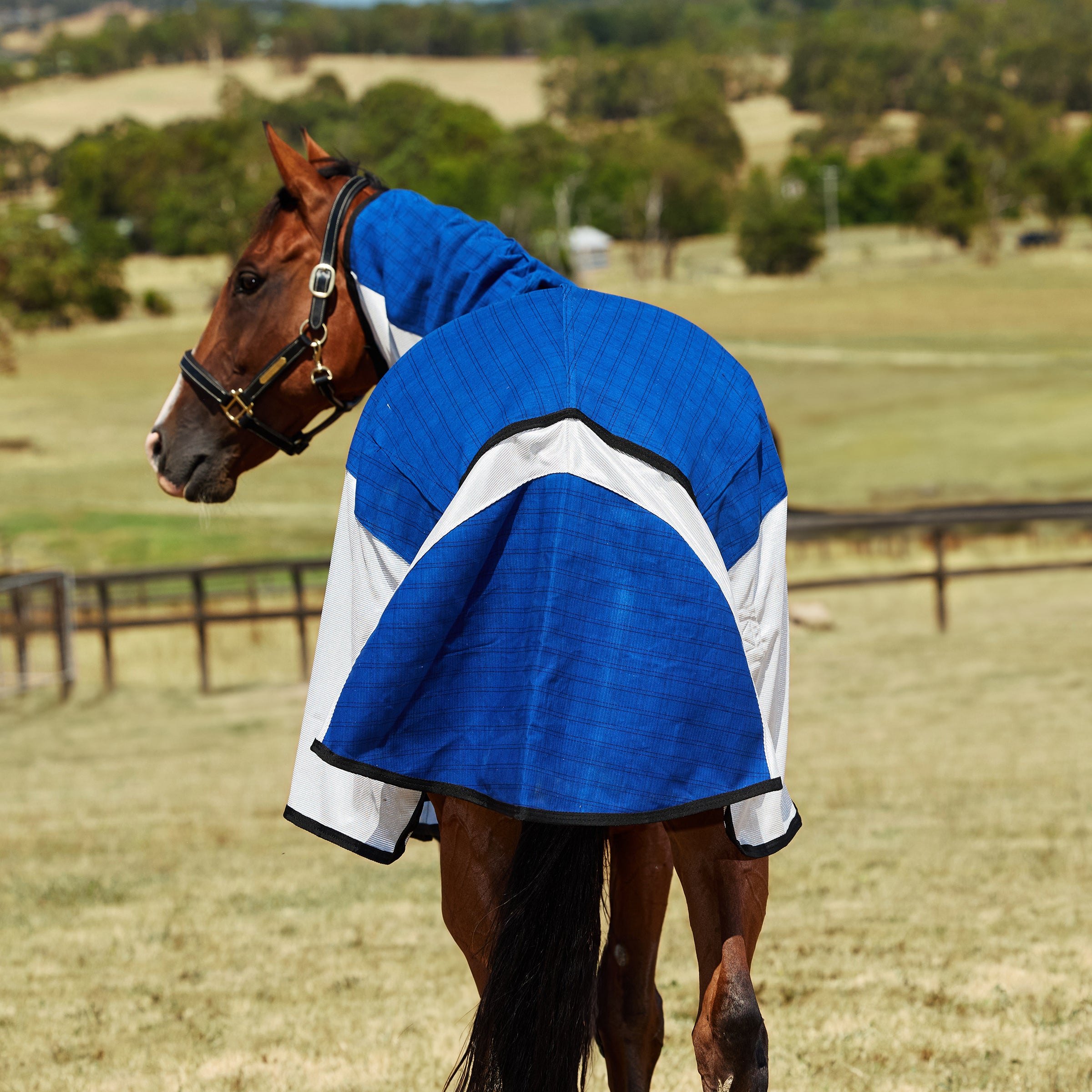 Weatherbeeta Unlined Half Mesh/Half Canvas Combo