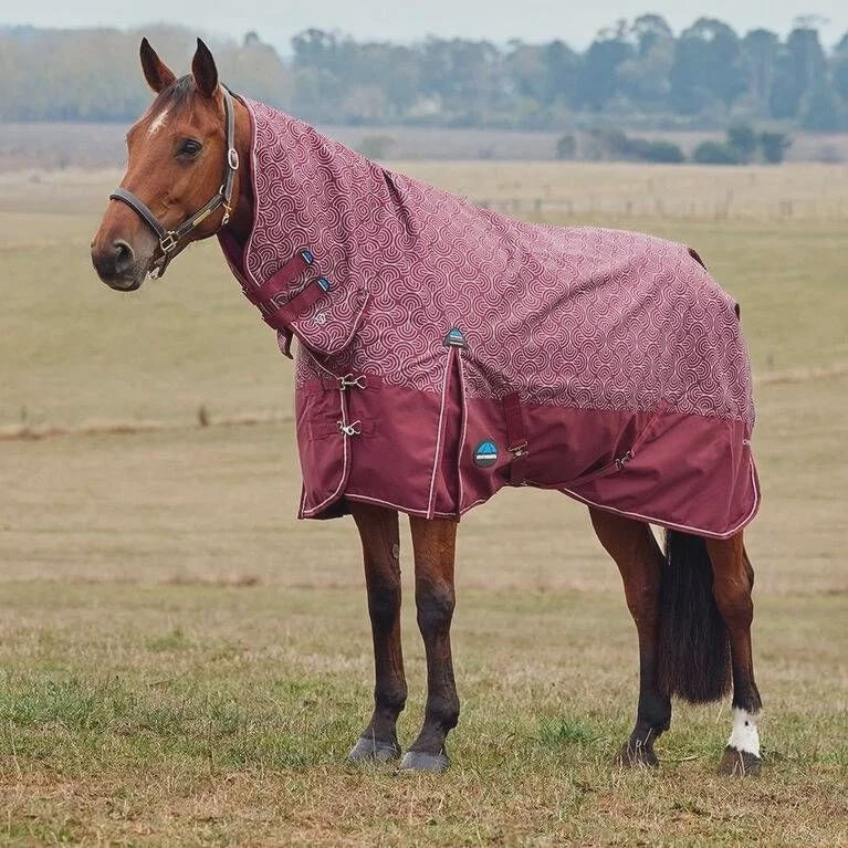 Weatherbeeta Comfitec Limited Edition Turnout Combo