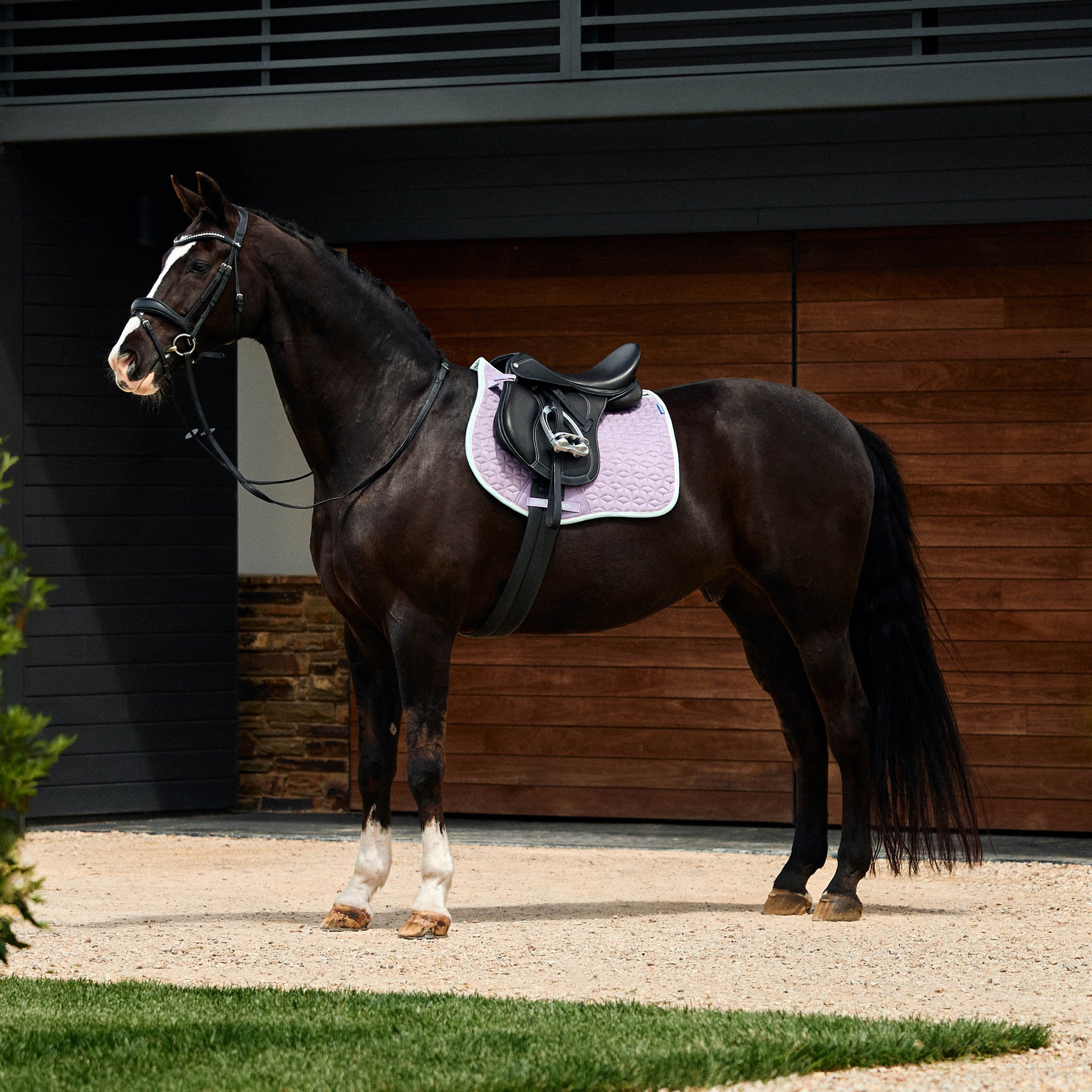 Weatherbeeta Suede Elite Air-Tec All Purpose Saddle Pad