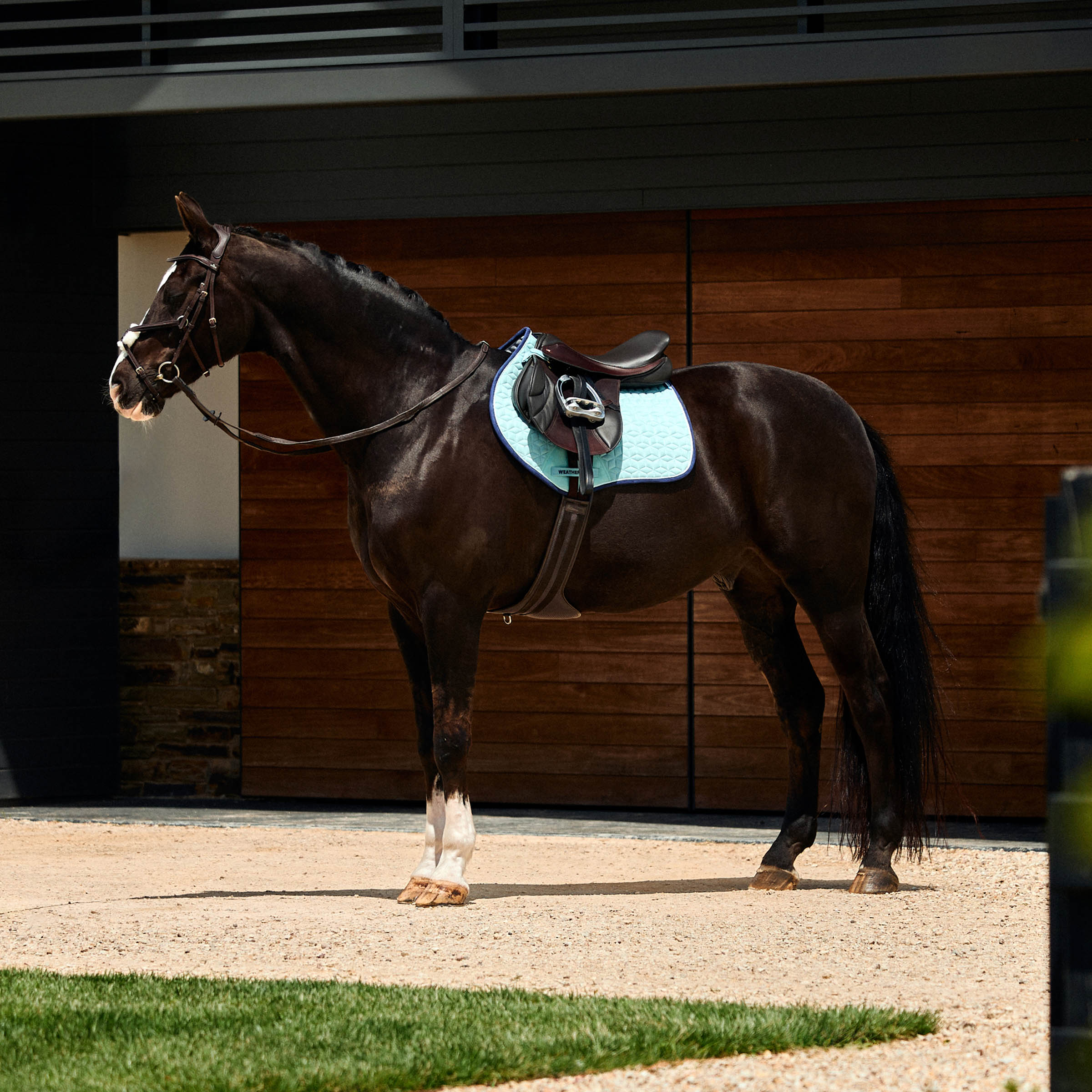 Weatherbeeta Suede Elite Air-Tec Jump Saddle Pad