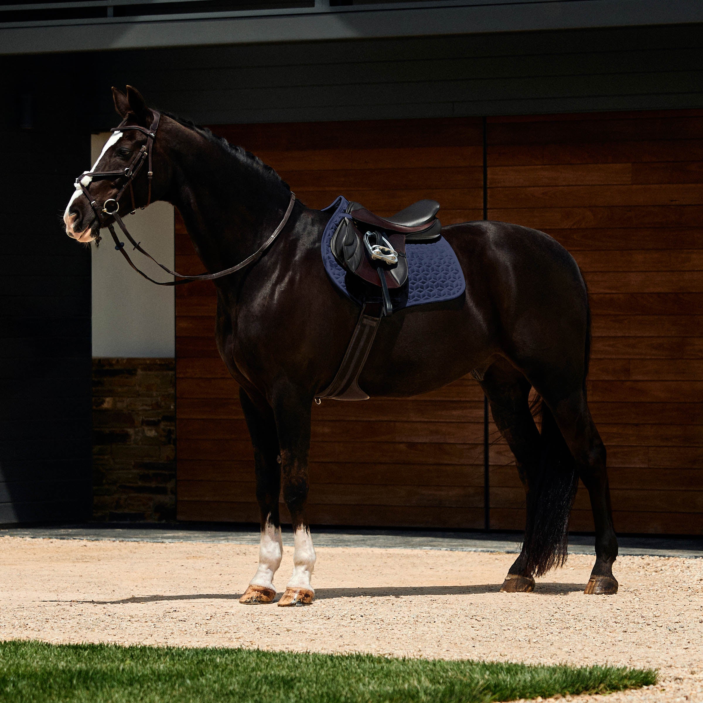 Weatherbeeta Suede Elite Air-Tec Jump Saddle Pad