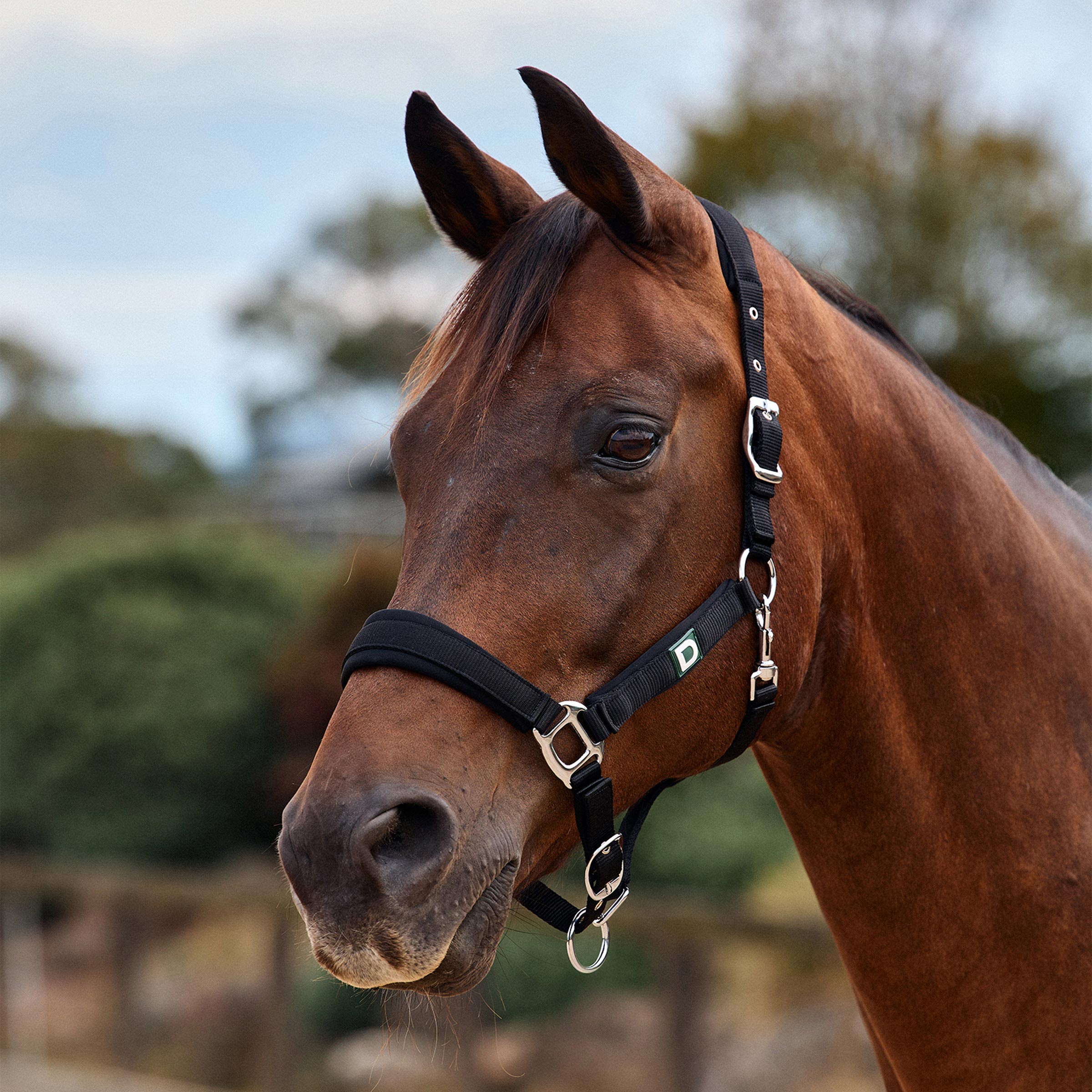 Dublin Neo Comfort Headcollar - Black