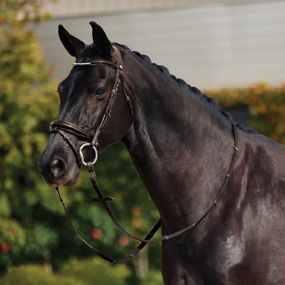 Dublin Patent Bridle