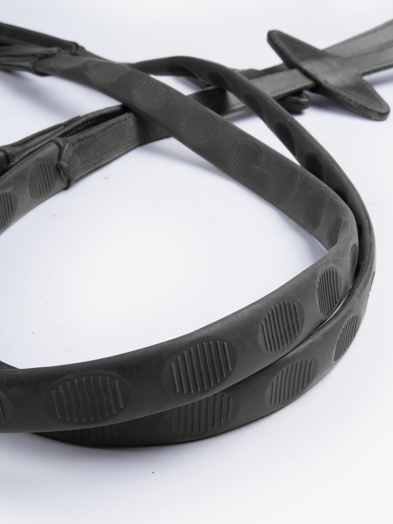 PS of Sweden Reins Barcelona