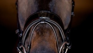 PS of Sweden Magic Flash Holder