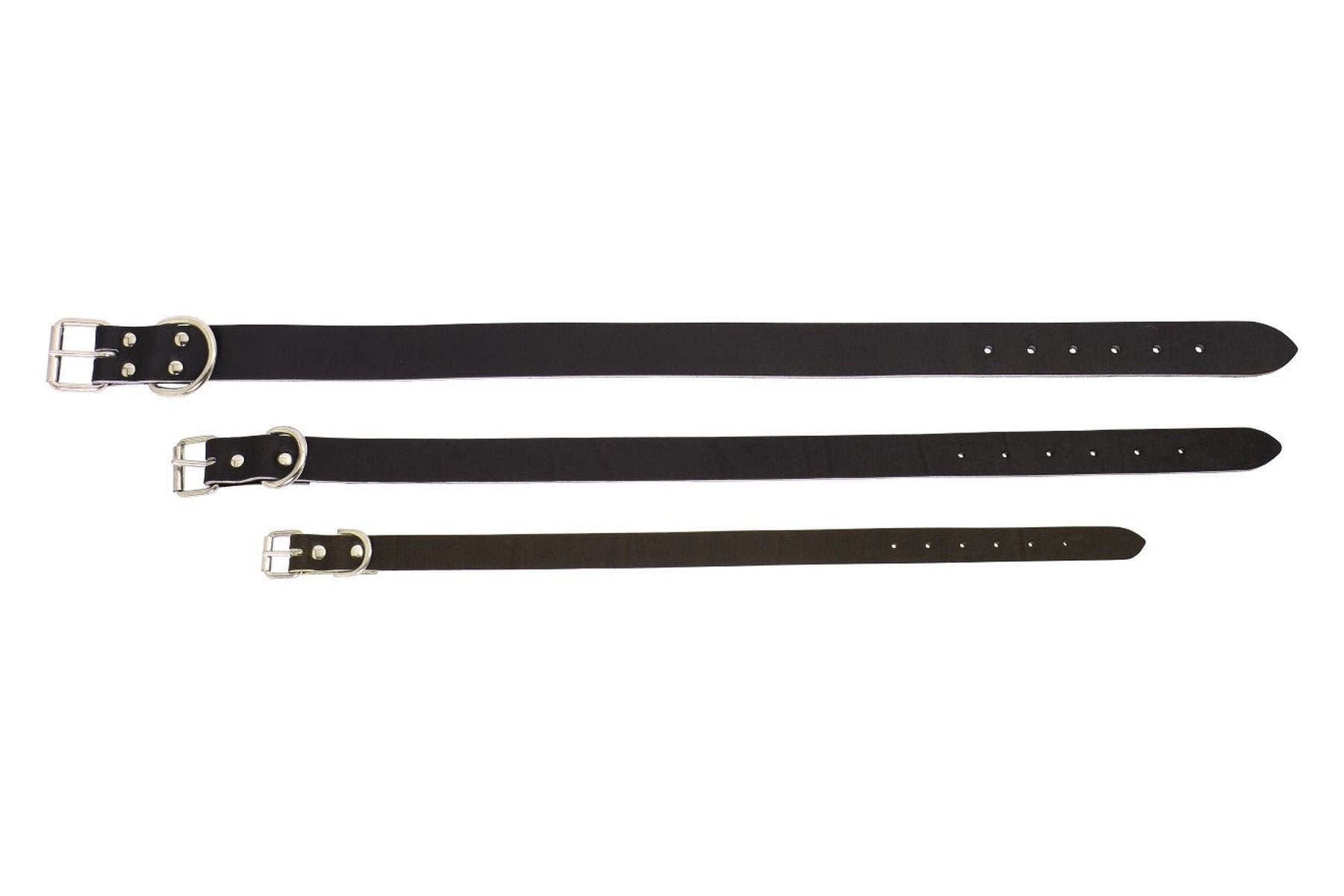 Standard Leather Dog Collar