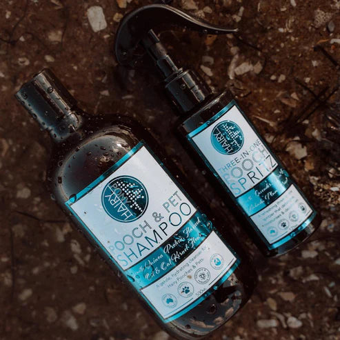 Hairy Pony Pooch and Pet Dog Shampoo