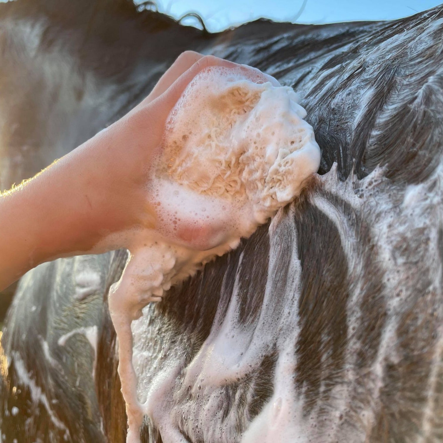 Hairy Pony Eco-Friendly Original Shampoo Bar
