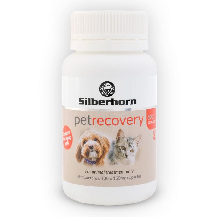Silberhorn PetRecovery Formula 100 capsules