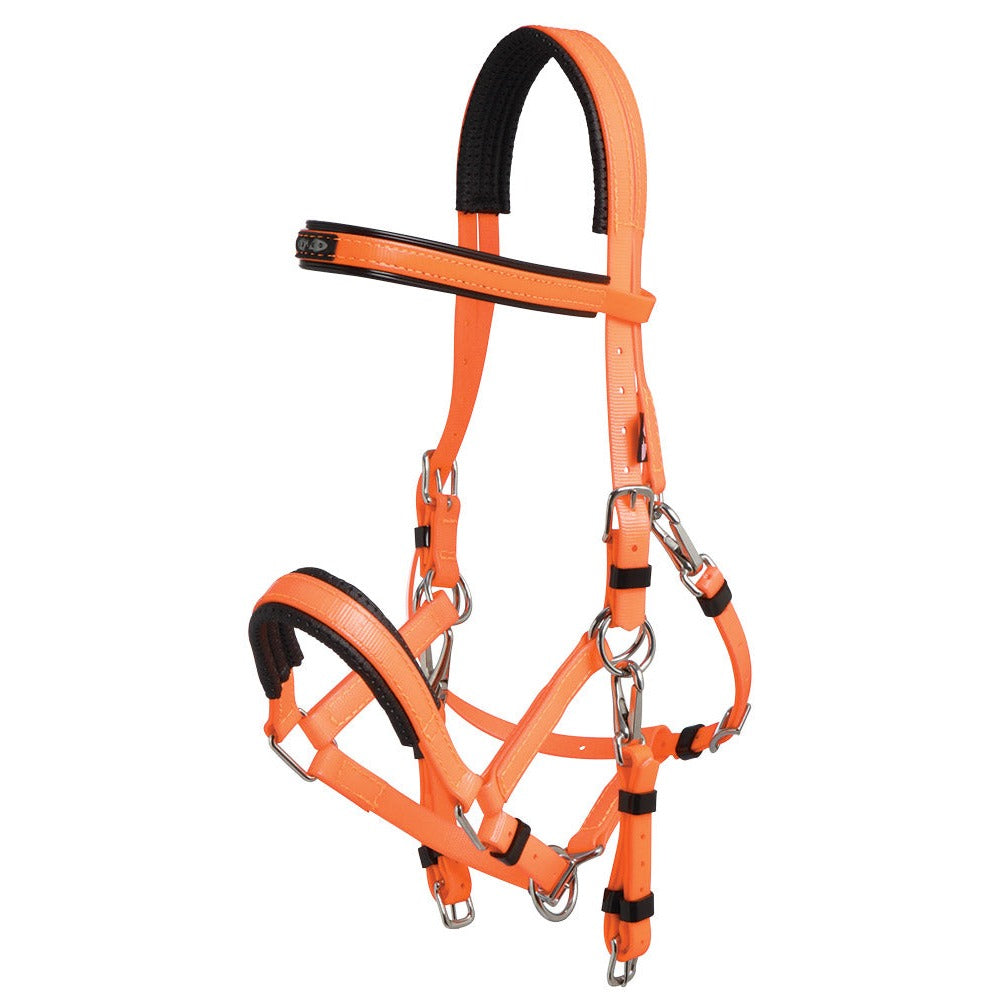 Zilco Marathon Bridle Orange