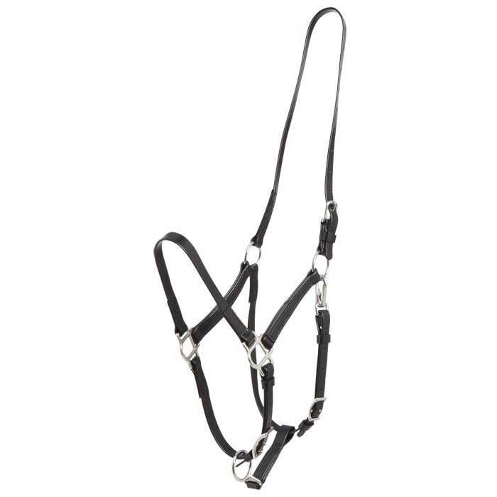 Zilco Deluxe Endurance Halter Black