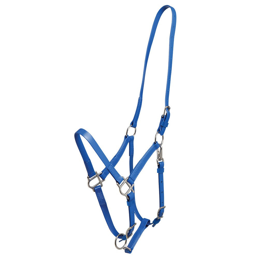 Zilco Deluxe Endurance Halter Royal Blue