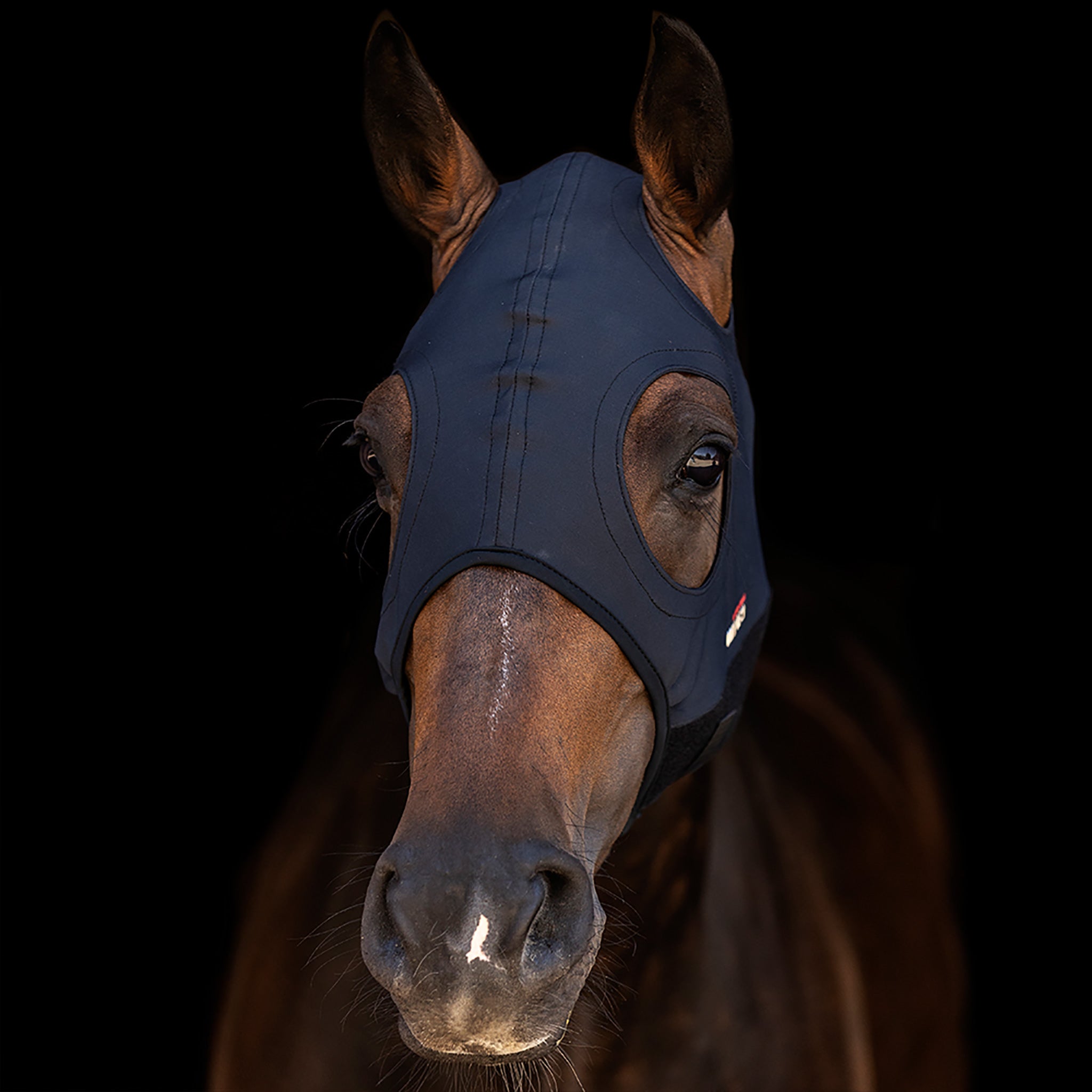 Zilco Come Best Titanium Hoods