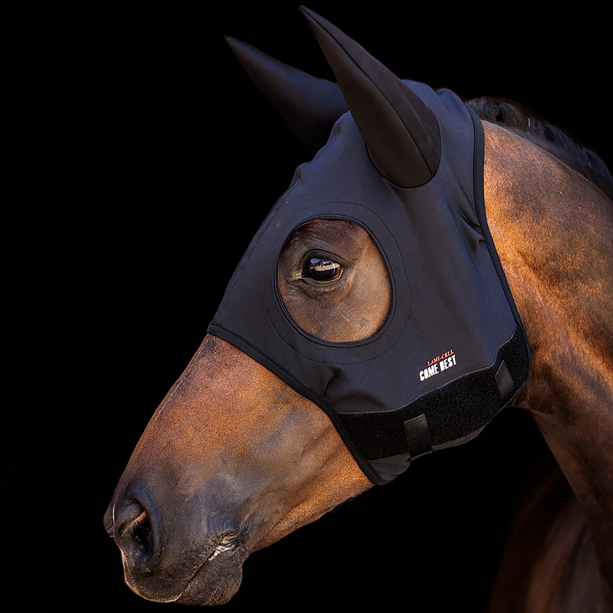 Zilco Come Best Titanium Hoods with Ears
