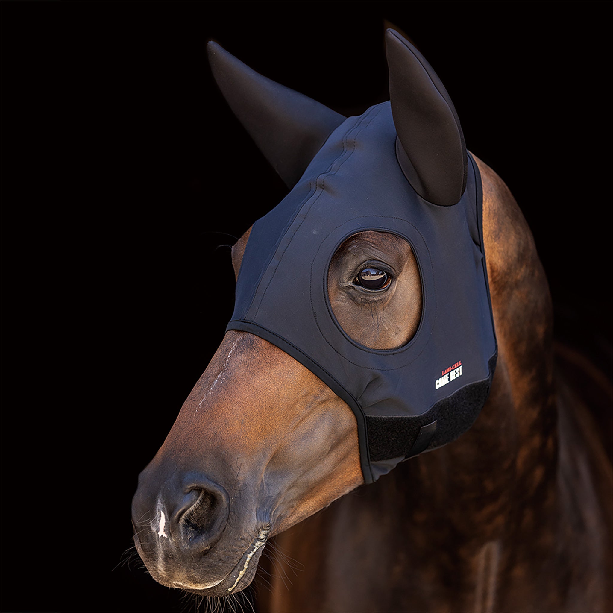 Zilco Come Best Titanium Hoods with Ears