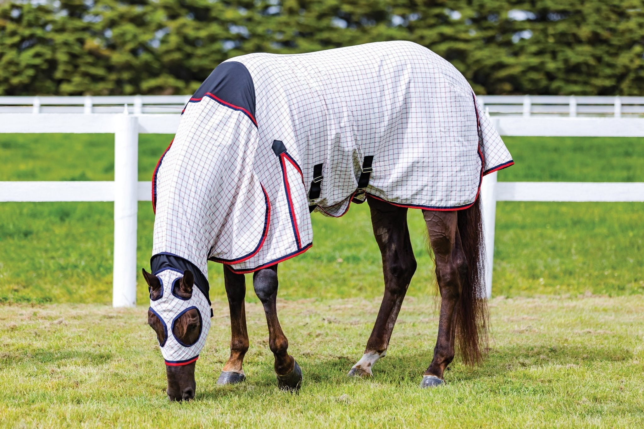 Weatherbeeta Summer Sheet Lite Stretch Hood Combo