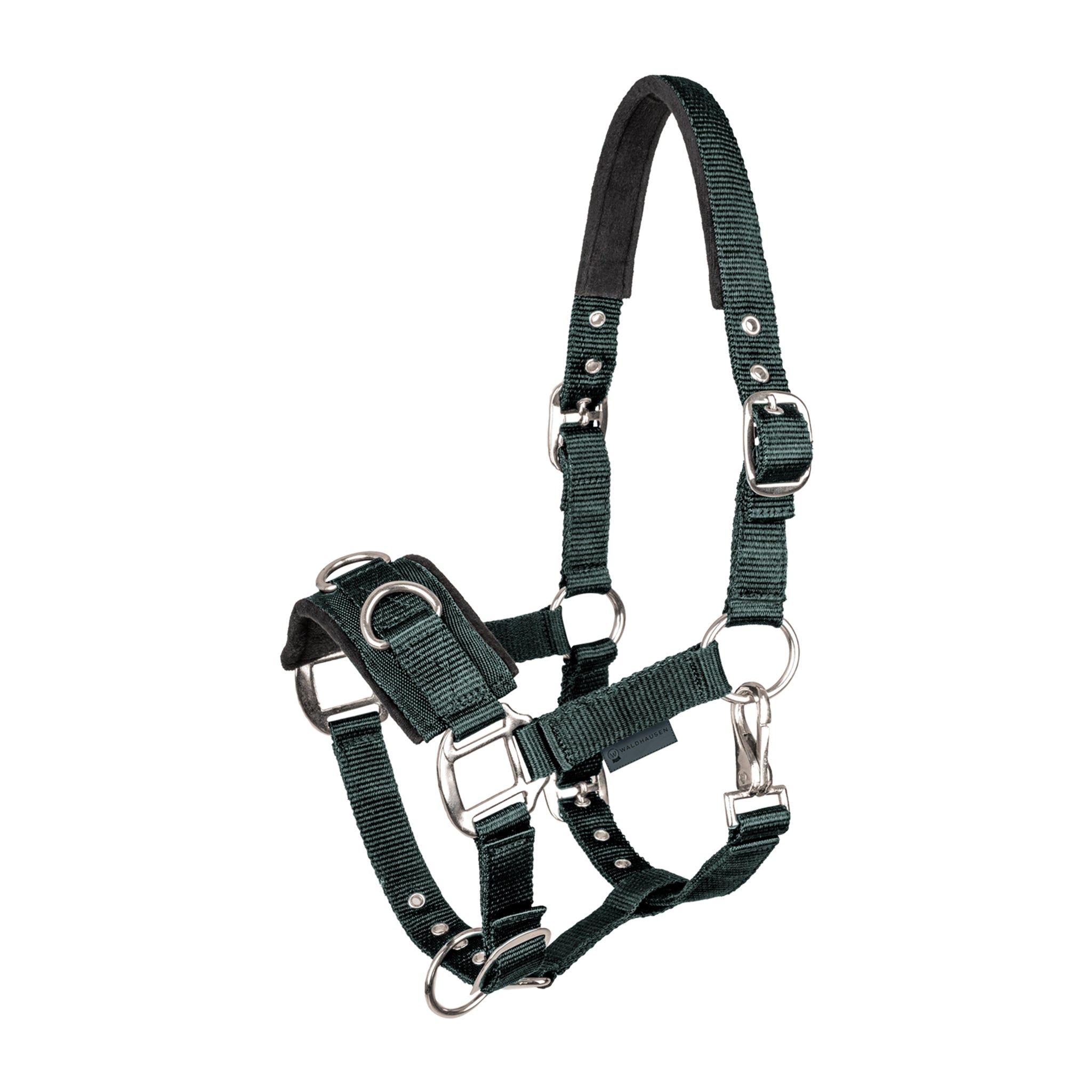 Lunging Cavesson Waldhausen