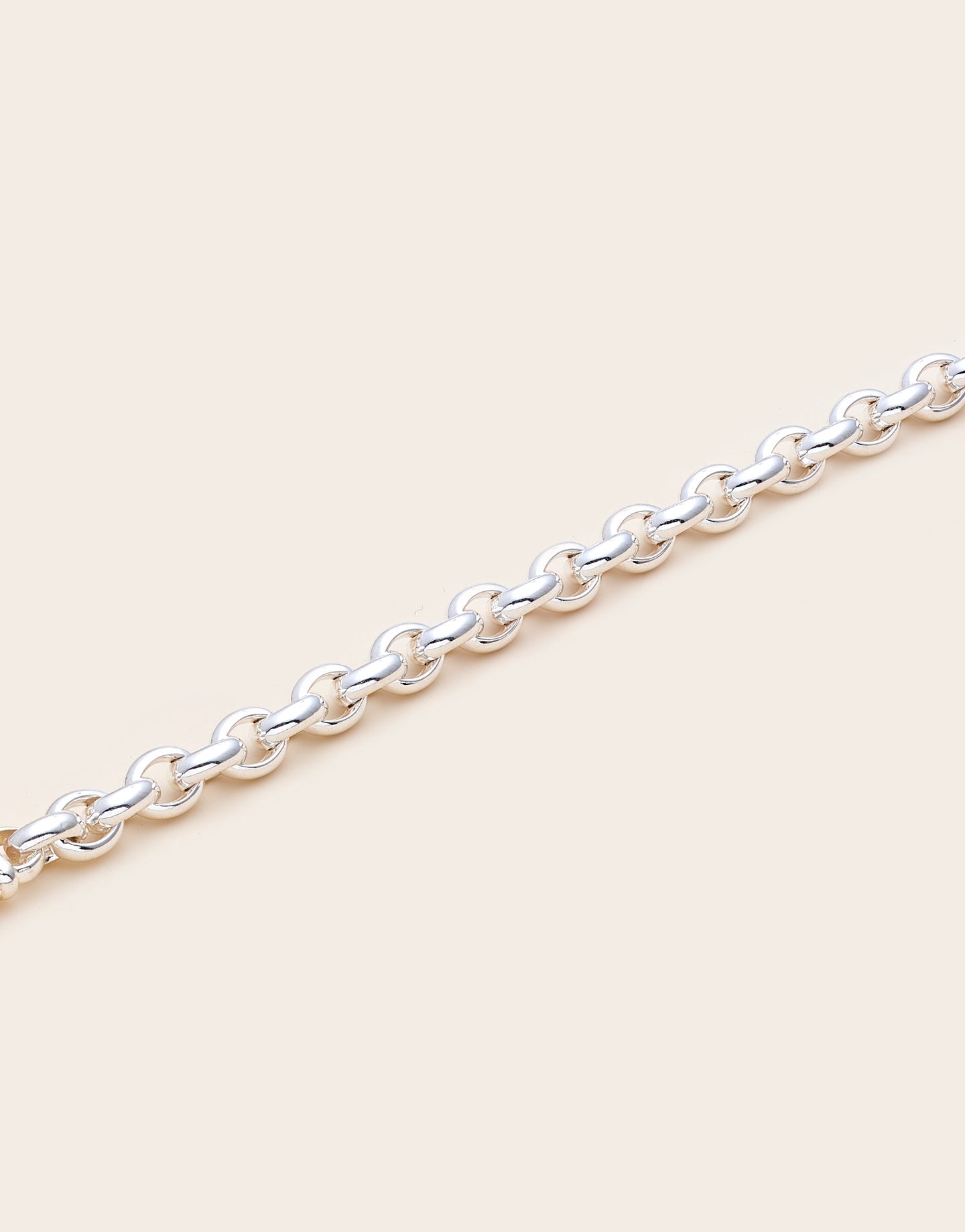 Whistle & Pop Rolo Chain Necklace