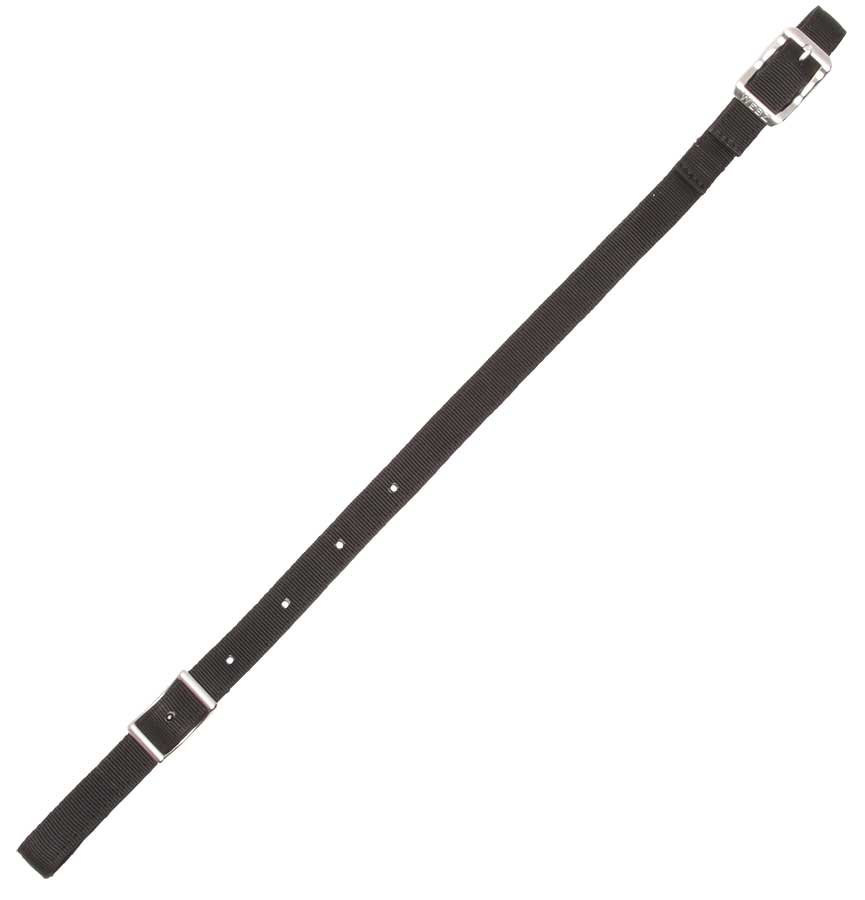 Zilco WebZ False Martingale
