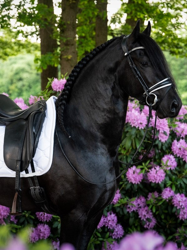 PS of Sweden Dressage Pad Signature