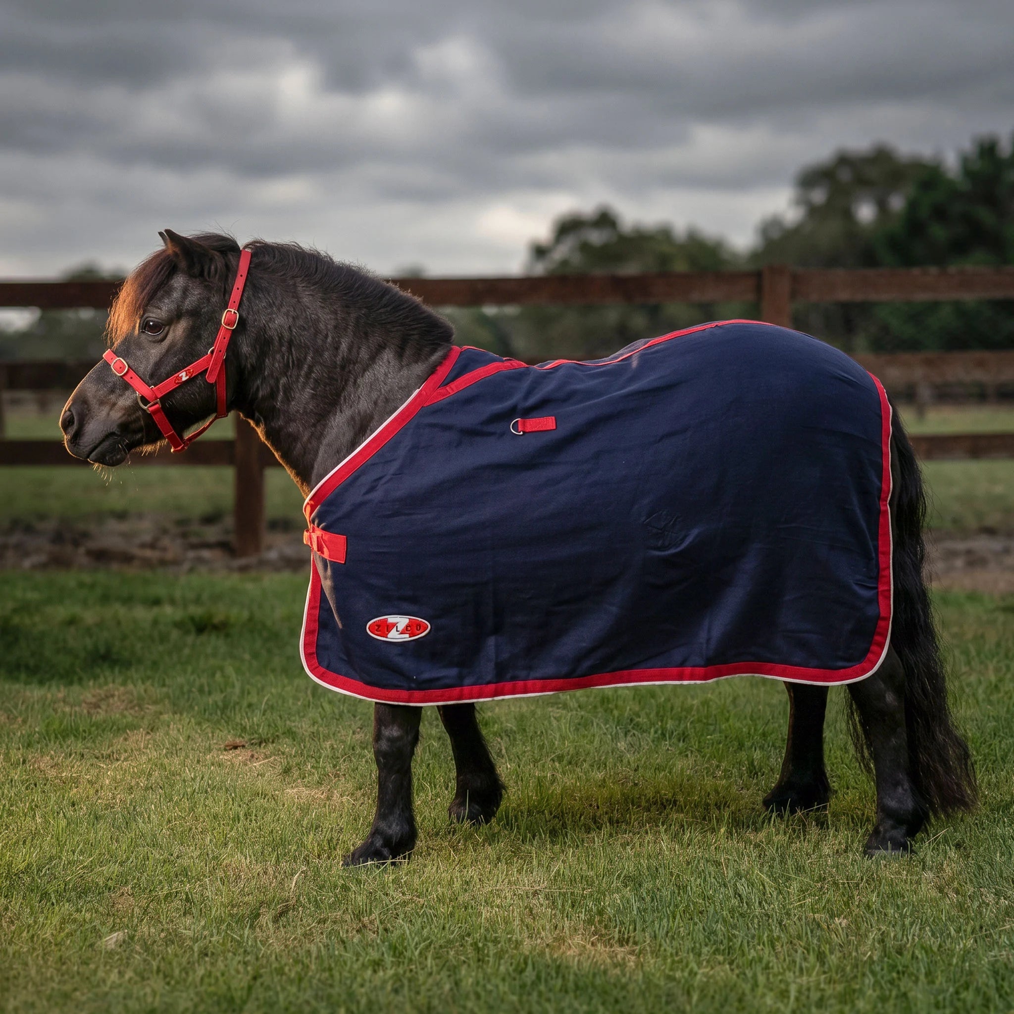 Zilco Mini Stadium Wool Rug