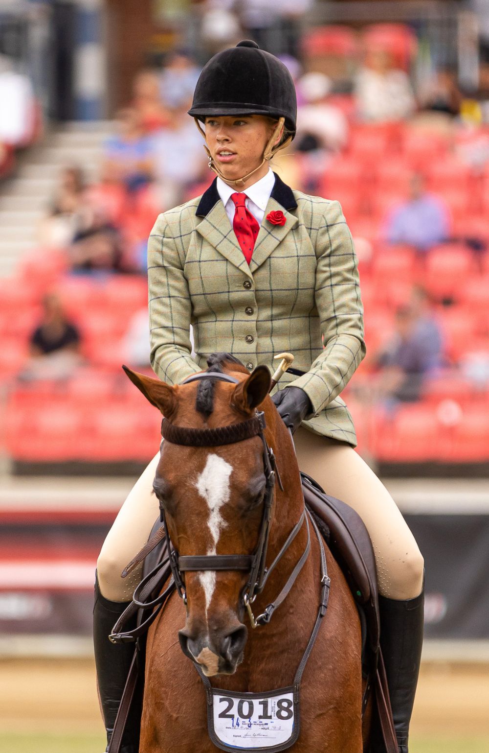 BARE Equestrain Youth Competition Wear Tights
