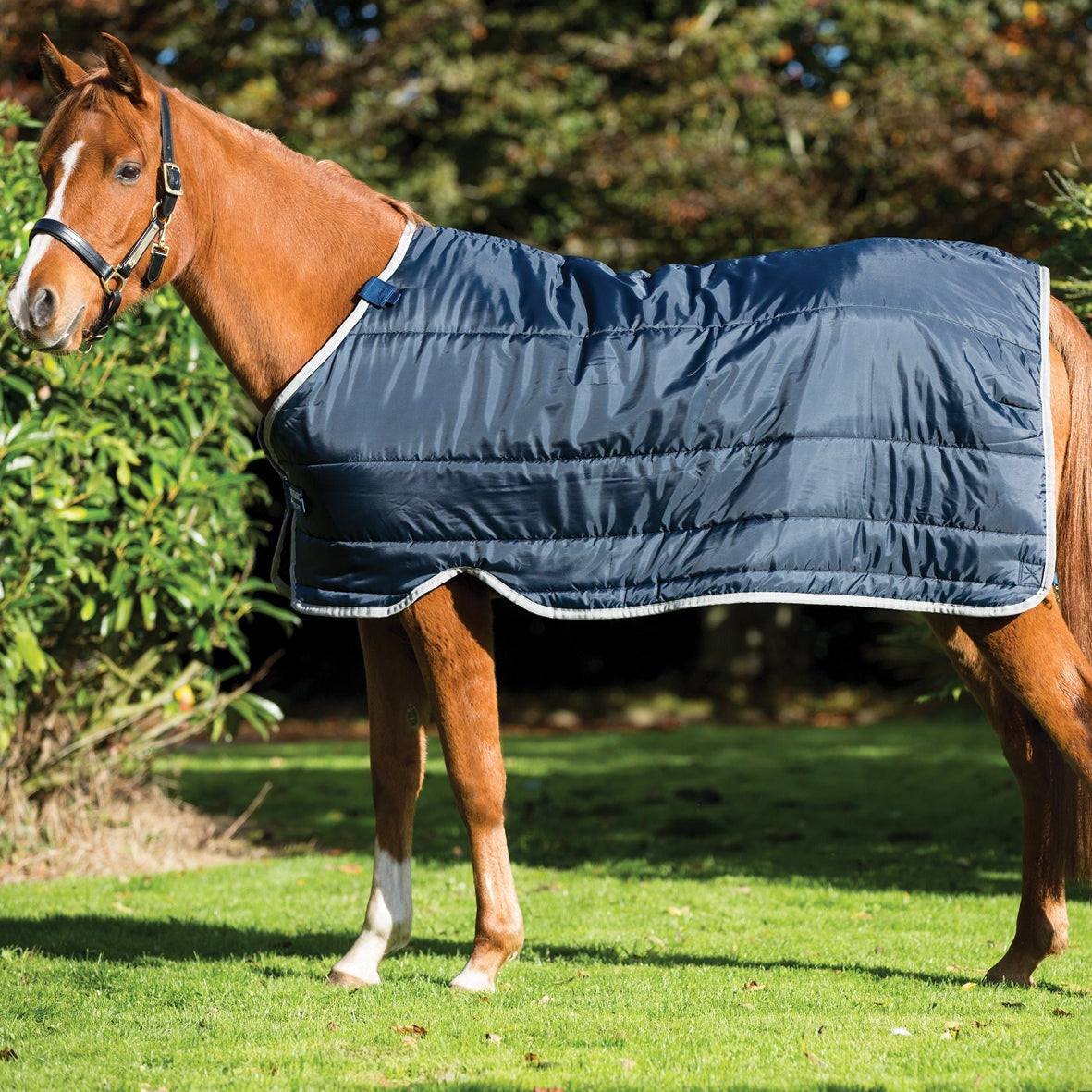 Horseware Pony Liner