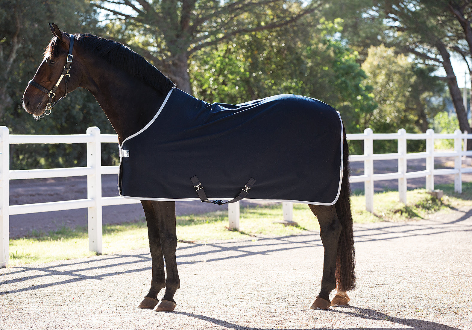 Amigo Jersey Cooler Rug