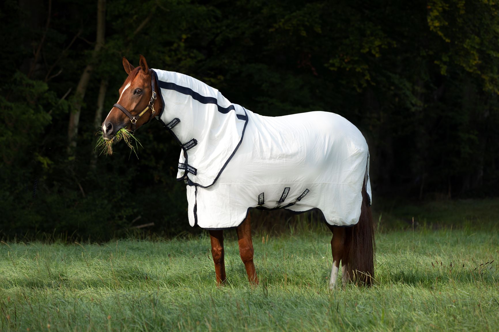 Rambo Natura Summer Sheet Detach-A-Neck