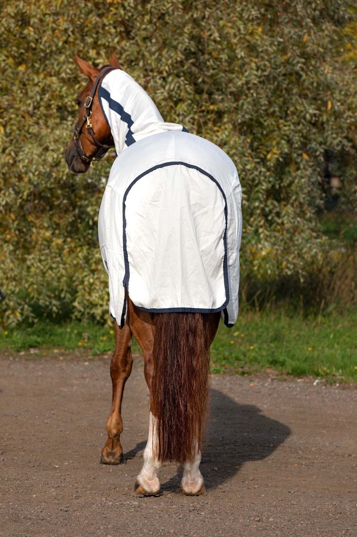 Rambo Natura Summer Sheet Detach-A-Neck