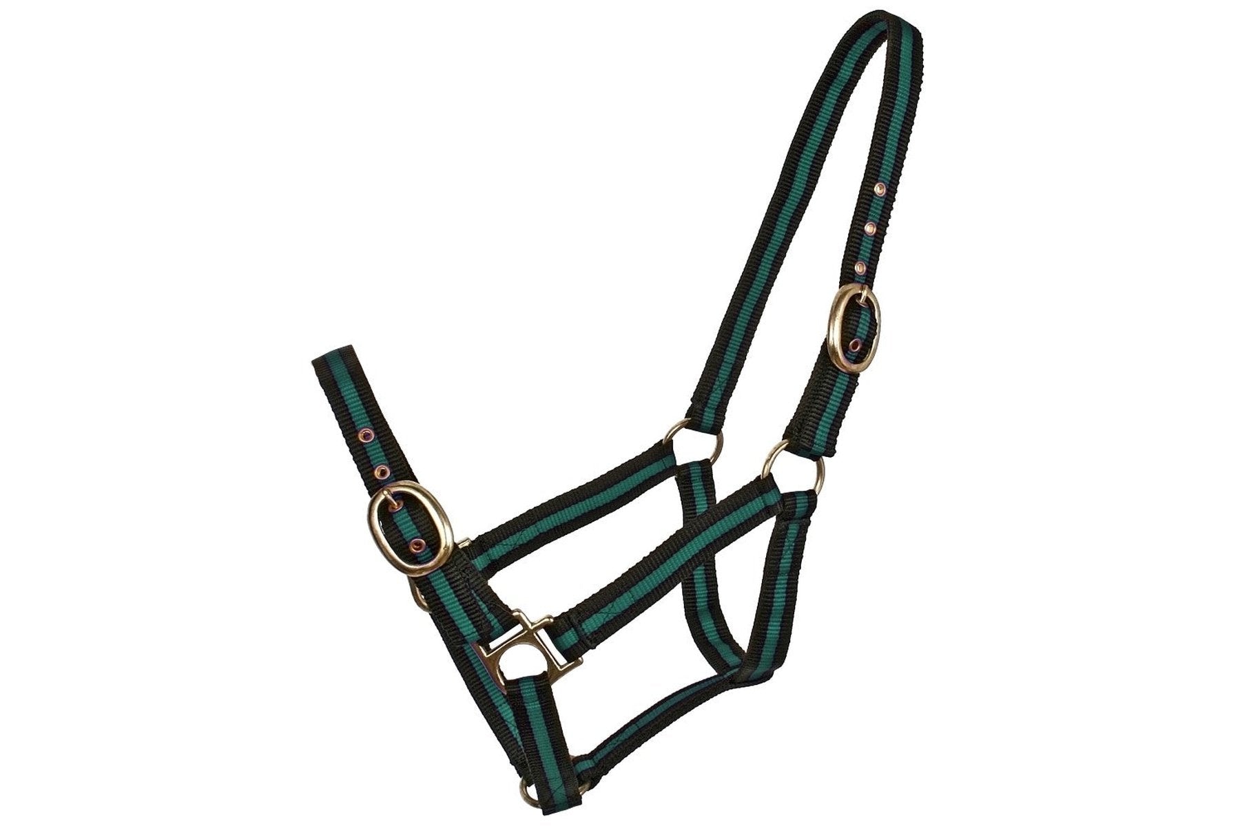 Blue Tag Striped Web Halters
