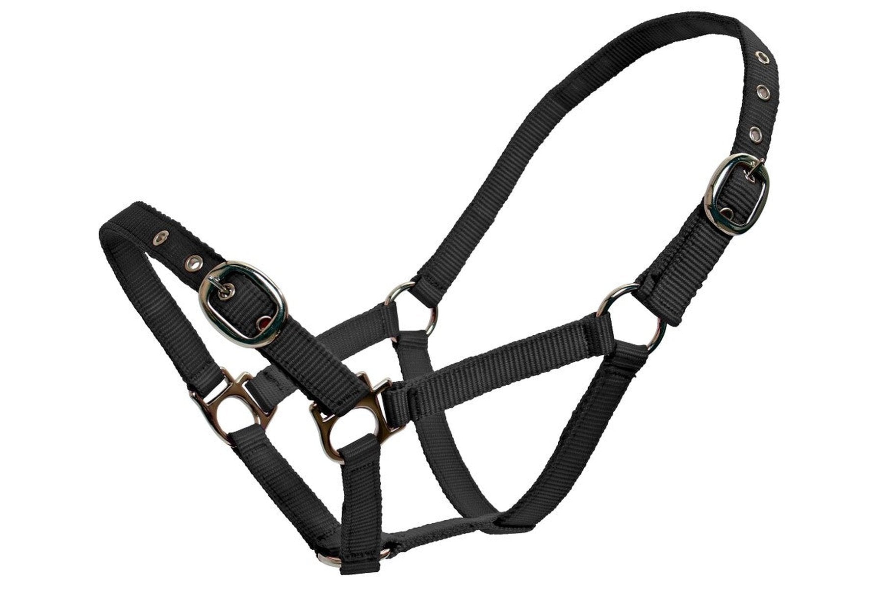 Blue Tag Web Halters Small Sizes