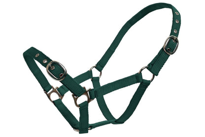 Blue Tag Web Halters Small Sizes